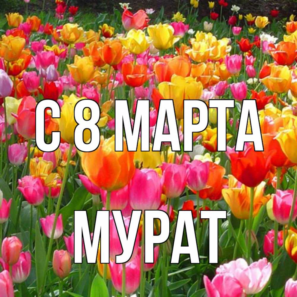 Картинка С 8 МАРТА, Мурат