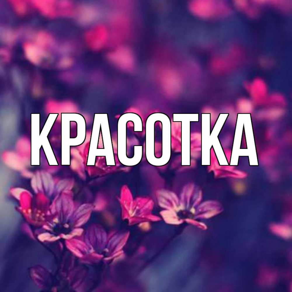 Открытка на каждый день с именем, красотка Главная небольшие цветы 1 Прикольная открытка с пожеланием онлайн скачать бесплатно 