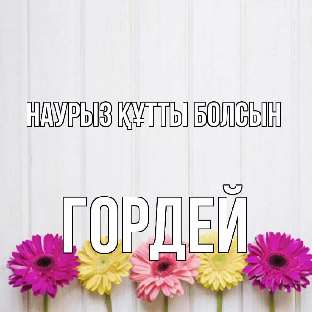 Открытка на каждый день с именем, Гордей Наурыз құтты болсын женщинам 1 Прикольная открытка с пожеланием онлайн скачать бесплатно 