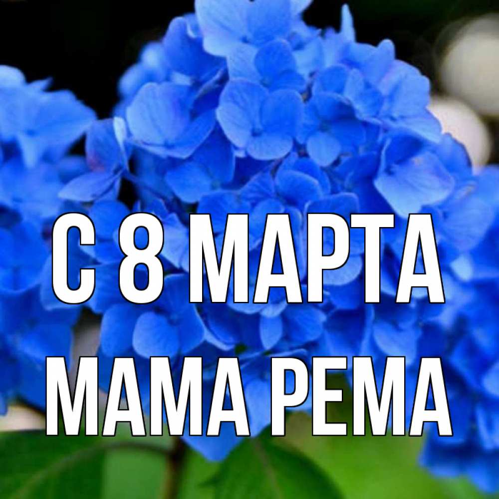 Открытка на каждый день с именем, Мама-Рема С 8 МАРТА синие цветы Прикольная открытка с пожеланием онлайн скачать бесплатно 