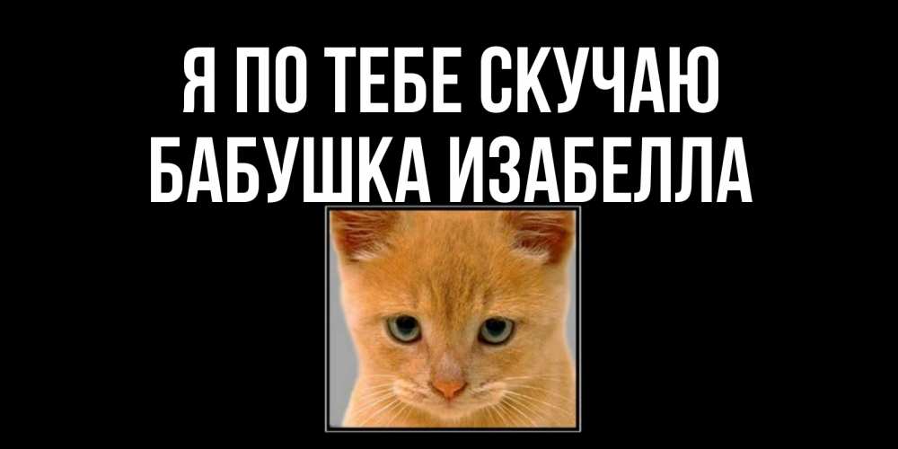 Открытка на каждый день с именем, Бабушка-Изабелла Я по тебе скучаю открытки рыжий котенок скучает по тебе Прикольная открытка с пожеланием онлайн скачать бесплатно 