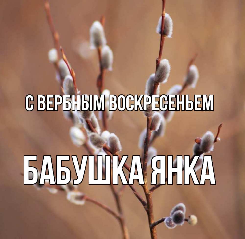 Открытка на каждый день с именем, Бабушка-Янка С вербным воскресеньем верба Прикольная открытка с пожеланием онлайн скачать бесплатно 