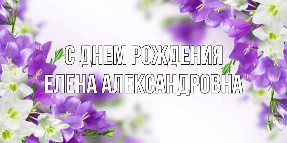 Открытка на каждый день с именем, Елена-Александровна С днем рождения открытка на день рождения с сиреневыми цветами Прикольная открытка с пожеланием онлайн скачать бесплатно 