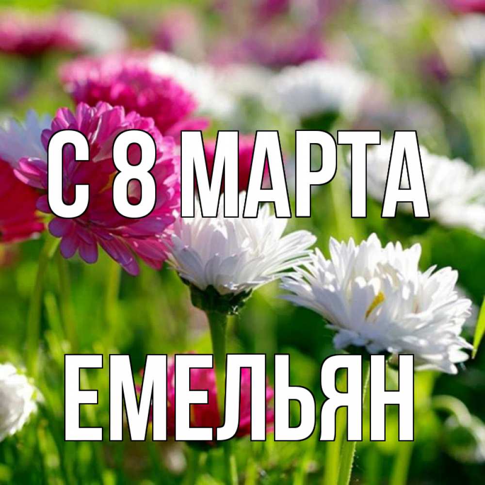 Открытка на каждый день с именем, Емельян С 8 МАРТА международный женский день 1 Прикольная открытка с пожеланием онлайн скачать бесплатно 