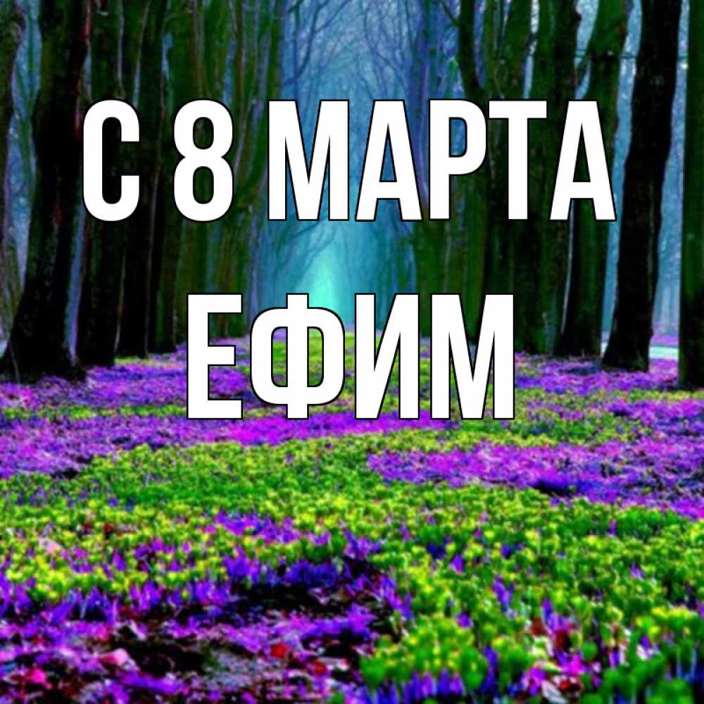 Открытка на каждый день с именем, Ефим С 8 МАРТА фиолетовые цветы в лесу 1 Прикольная открытка с пожеланием онлайн скачать бесплатно 