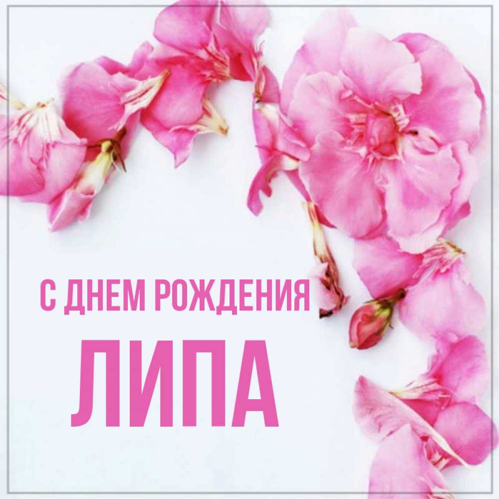 Открытка на каждый день с именем, ЛИПА С днем рождения Красивая открытка для поздравления с днем рождения Прикольная открытка с пожеланием онлайн скачать бесплатно 