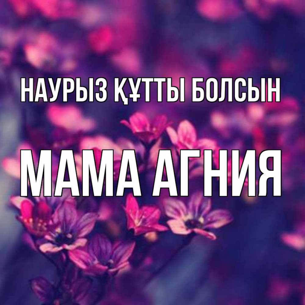 Открытка на каждый день с именем, Мама-Агния Наурыз құтты болсын небольшие цветы 1 Прикольная открытка с пожеланием онлайн скачать бесплатно 