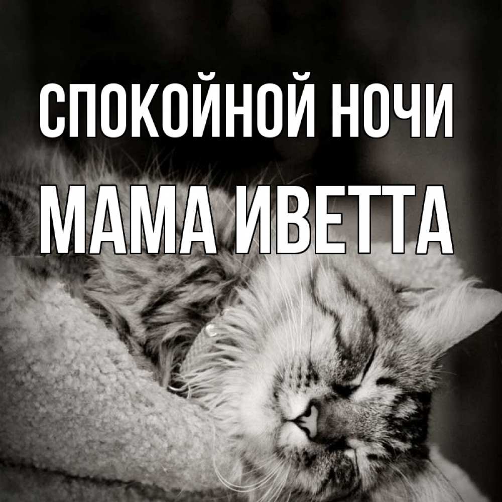 Открытка на каждый день с именем, Мама-Иветта Спокойной ночи котярик пушистый Прикольная открытка с пожеланием онлайн скачать бесплатно 