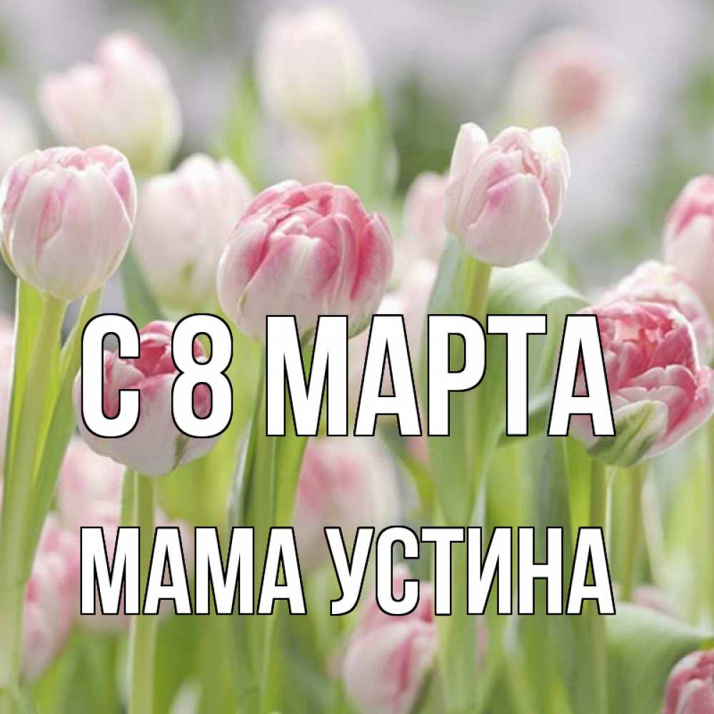 Открытка на каждый день с именем, Мама-Устина С 8 МАРТА цветы Прикольная открытка с пожеланием онлайн скачать бесплатно 