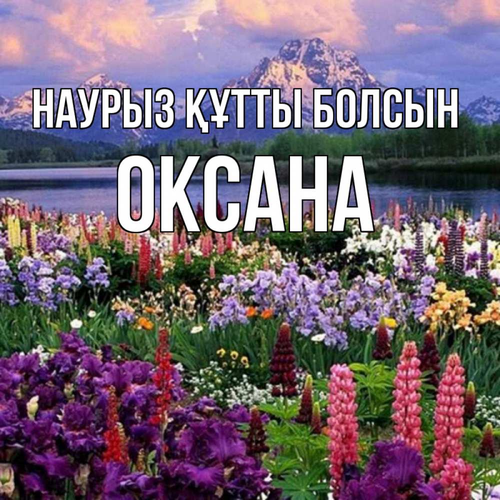 Открытка на каждый день с именем, Оксана Наурыз құтты болсын наурыз Прикольная открытка с пожеланием онлайн скачать бесплатно 