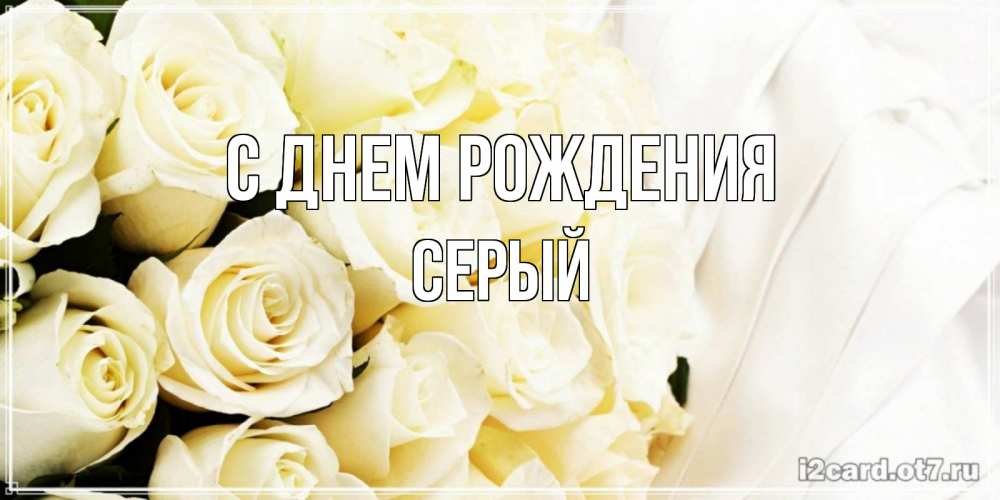 Открытка на каждый день с именем, СЕРЫЙ С днем рождения белые розы в букете Прикольная открытка с пожеланием онлайн скачать бесплатно 