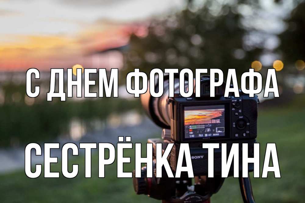 Открытка на каждый день с именем, Сестрёнка-Тина С днем фотографа с днем фотографа Прикольная открытка с пожеланием онлайн скачать бесплатно 