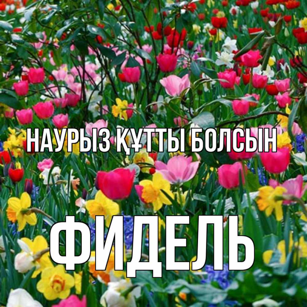 Открытка на каждый день с именем, Фидель Наурыз құтты болсын с наурызом поздравления для женщины Прикольная открытка с пожеланием онлайн скачать бесплатно 