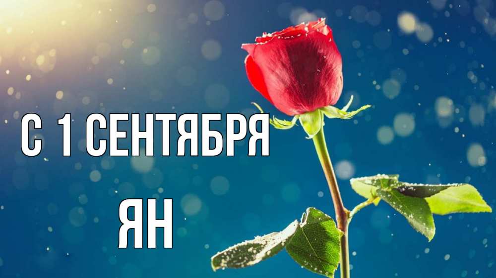 Открытка на каждый день с именем, Ян С 1 сентября с днем знаний Прикольная открытка с пожеланием онлайн скачать бесплатно 