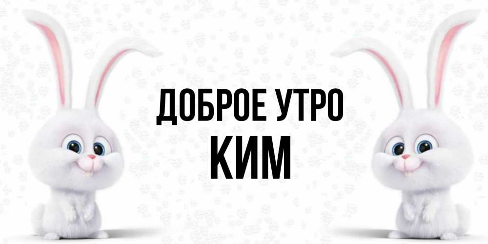 Открытка на каждый день с именем, Ким Доброе утро кролики с длинными ушками Прикольная открытка с пожеланием онлайн скачать бесплатно 