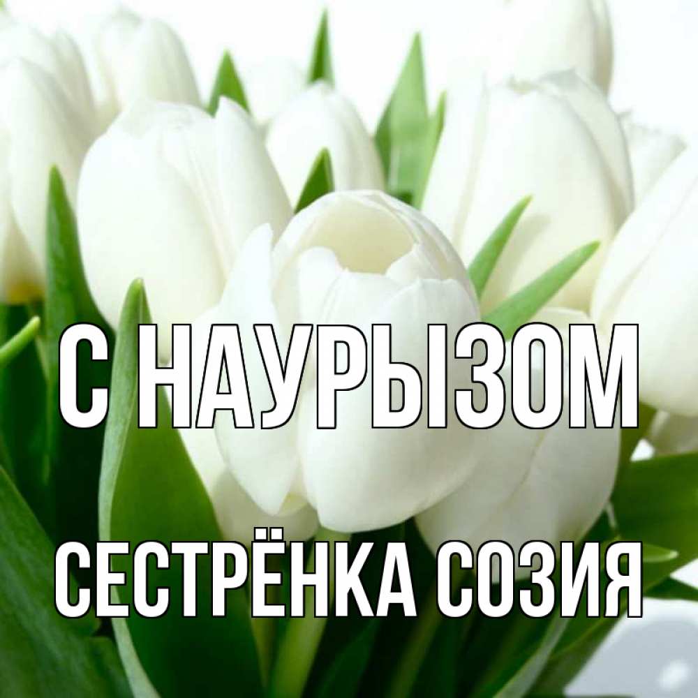 Открытка на каждый день с именем, Сестрёнка-Созия С наурызом цветы Прикольная открытка с пожеланием онлайн скачать бесплатно 