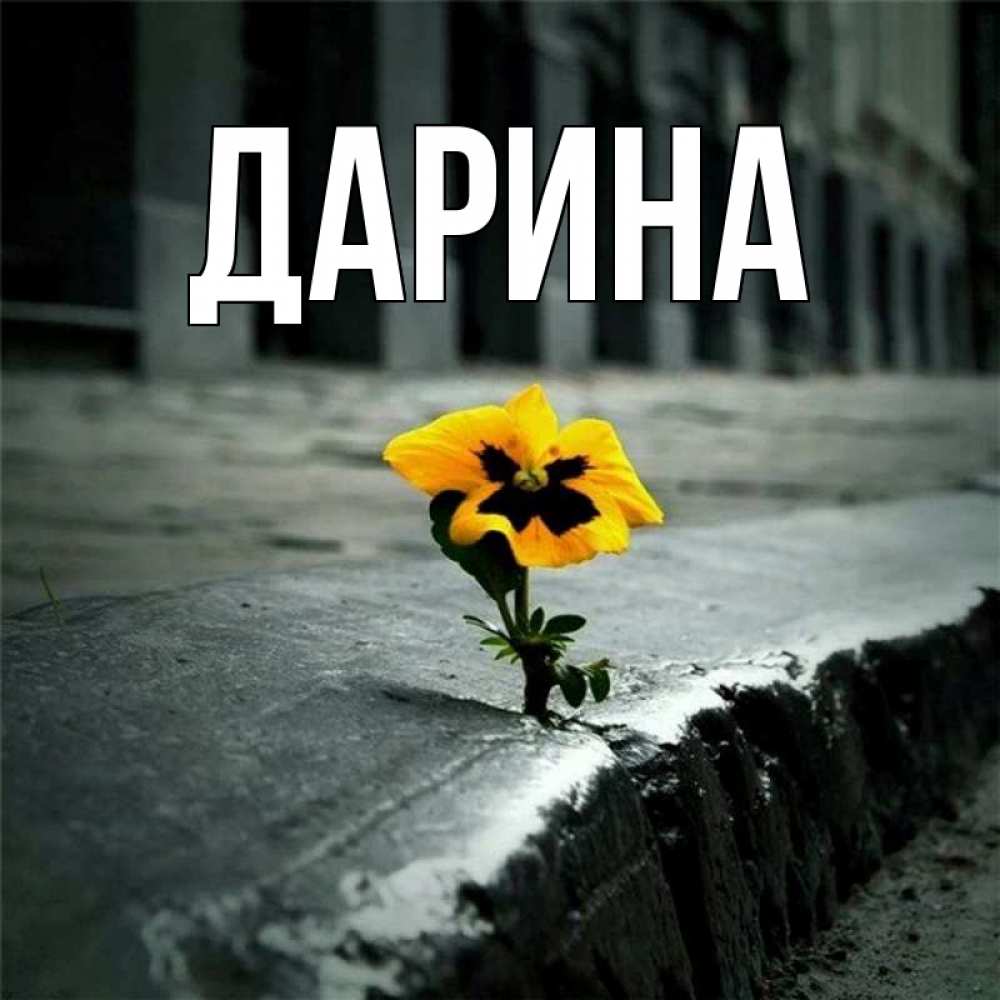 Открытка на каждый день с именем, Дарина Главная надеюсь будет лучше Прикольная открытка с пожеланием онлайн скачать бесплатно 