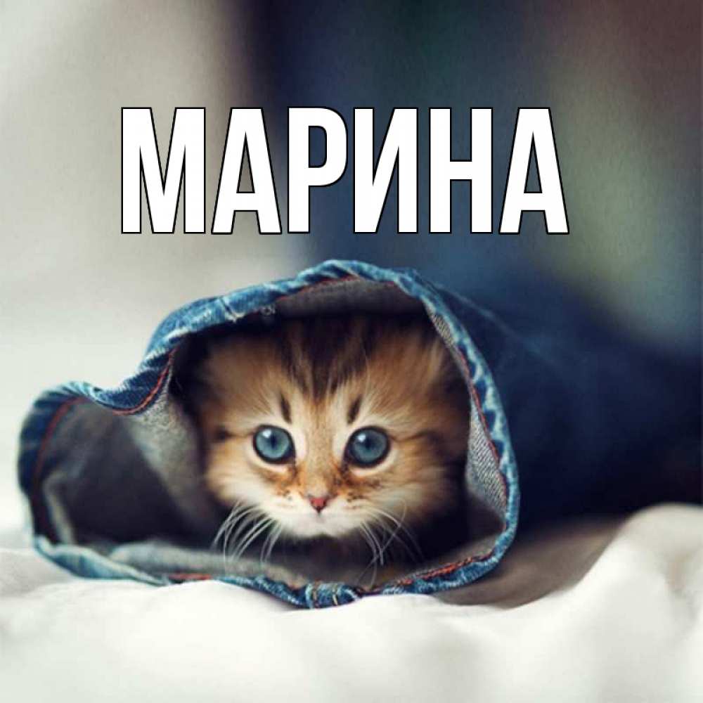 Открытка на каждый день с именем, Марина Главная мне без тебя плохо Прикольная открытка с пожеланием онлайн скачать бесплатно 