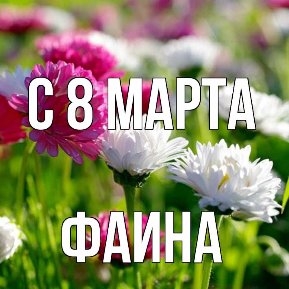 Открытка на каждый день с именем, Фаина С 8 МАРТА международный женский день 1 Прикольная открытка с пожеланием онлайн скачать бесплатно 
