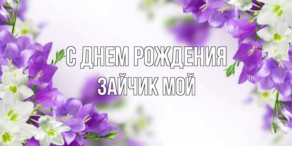 Открытка на каждый день с именем, Зайчик-мой С днем рождения открытка на день рождения с сиреневыми цветами Прикольная открытка с пожеланием онлайн скачать бесплатно 