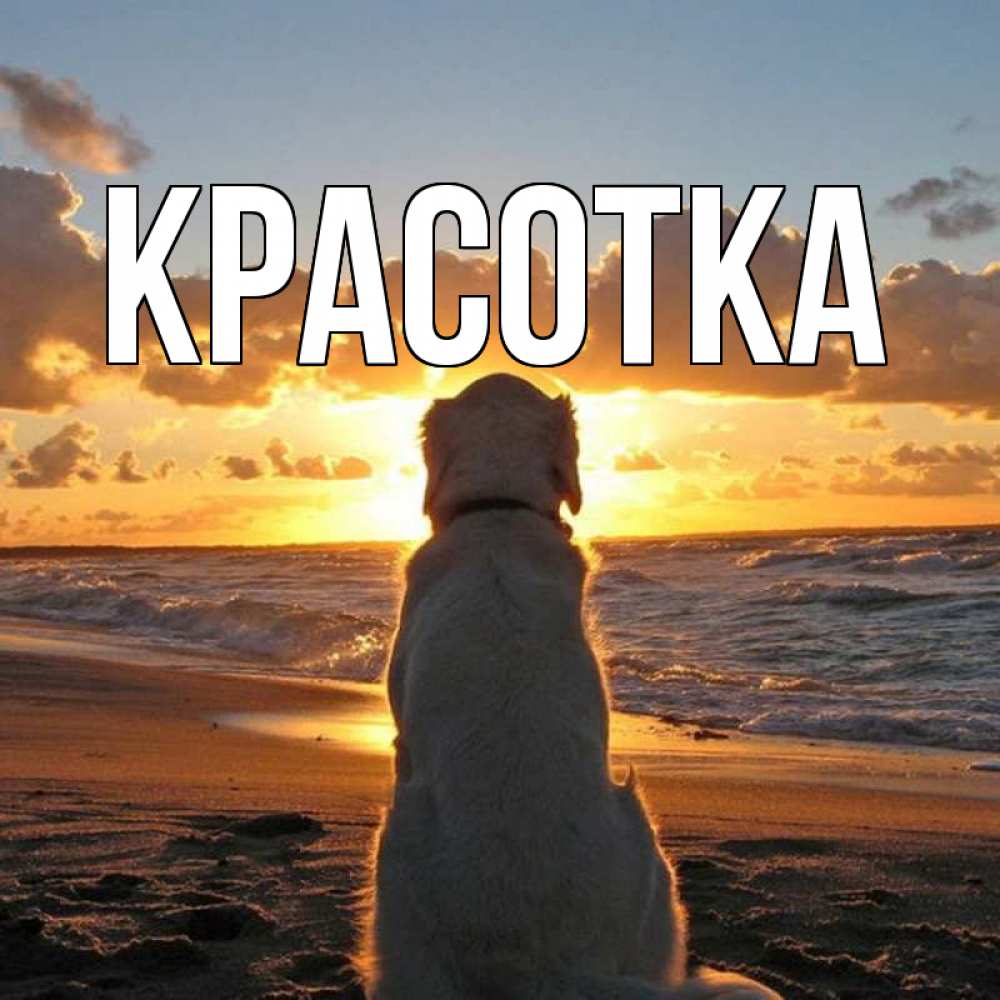 Открытка на каждый день с именем, красотка Главная восход солнца Прикольная открытка с пожеланием онлайн скачать бесплатно 