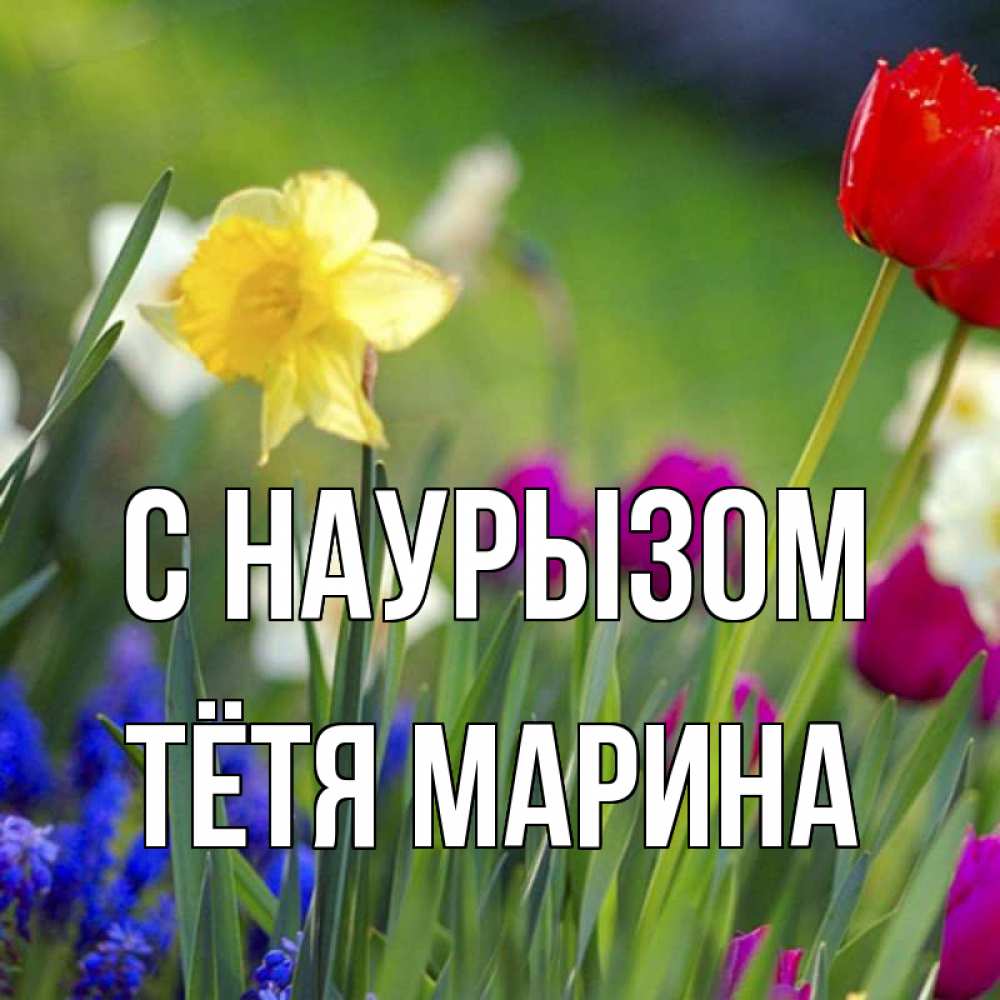 Открытка на каждый день с именем, Тётя-Марина С наурызом праздник весны наурыз 3 Прикольная открытка с пожеланием онлайн скачать бесплатно 