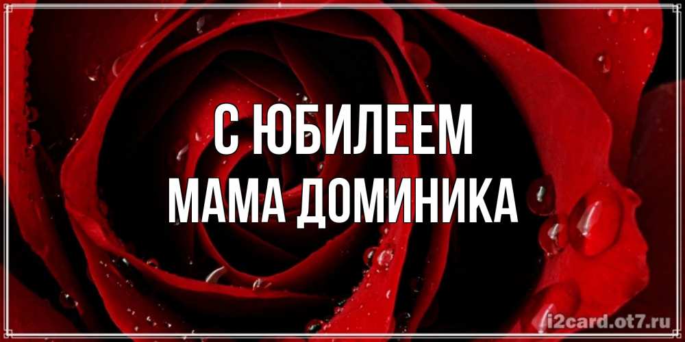 Открытка на каждый день с именем, Мама-Доминика С юбилеем крупная бордовая роза Прикольная открытка с пожеланием онлайн скачать бесплатно 