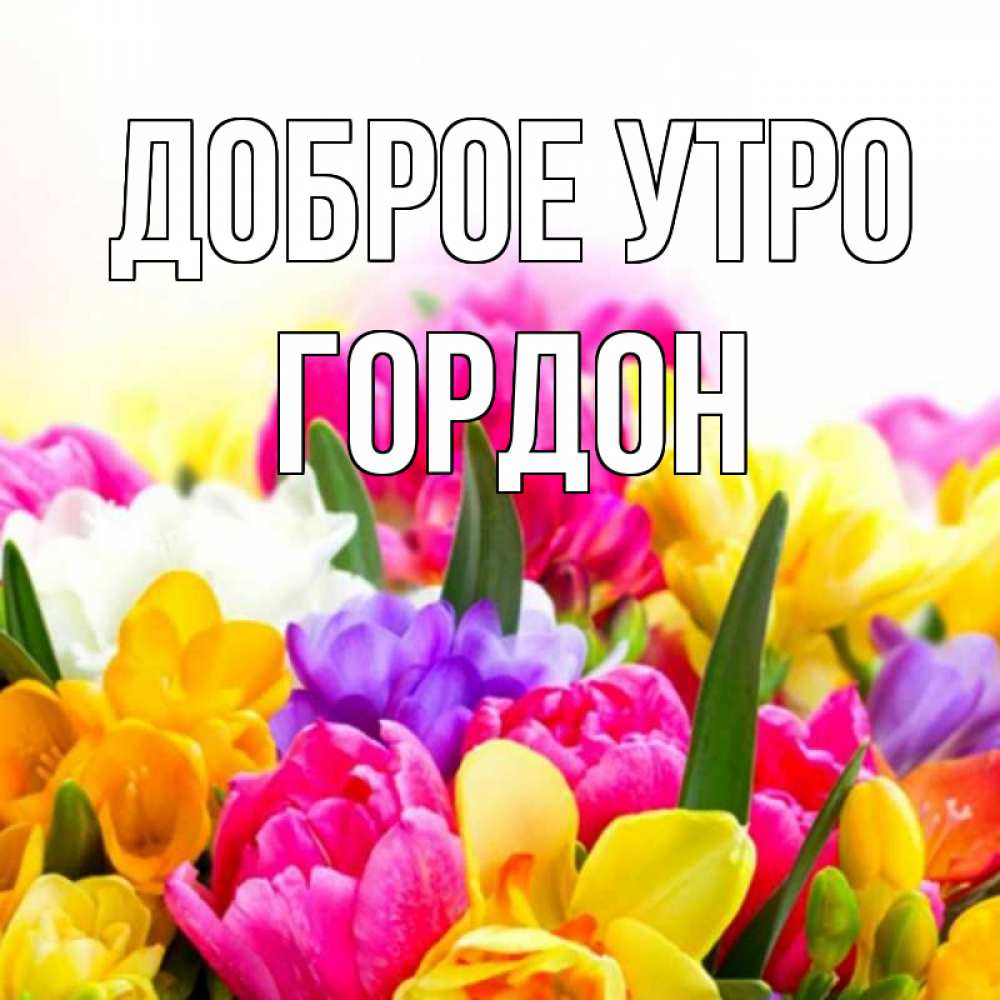 Открытка на каждый день с именем, Гордон Доброе утро создать открытку со свое подписью Прикольная открытка с пожеланием онлайн скачать бесплатно 
