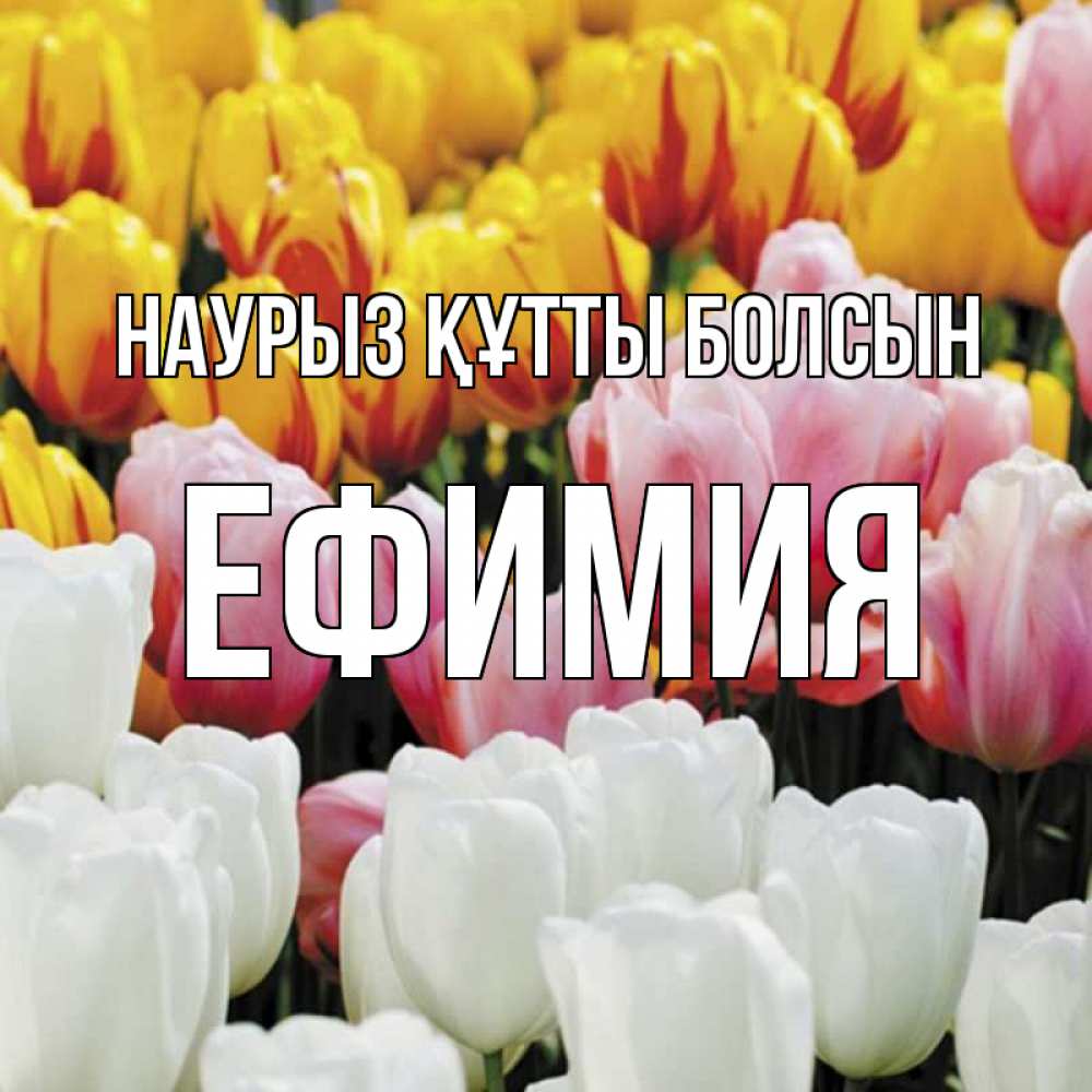 Открытка на каждый день с именем, Ефимия Наурыз құтты болсын разноцветные цветы Прикольная открытка с пожеланием онлайн скачать бесплатно 