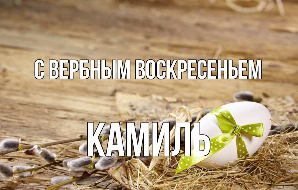 Открытка на каждый день с именем, Камиль С вербным воскресеньем верба Прикольная открытка с пожеланием онлайн скачать бесплатно 
