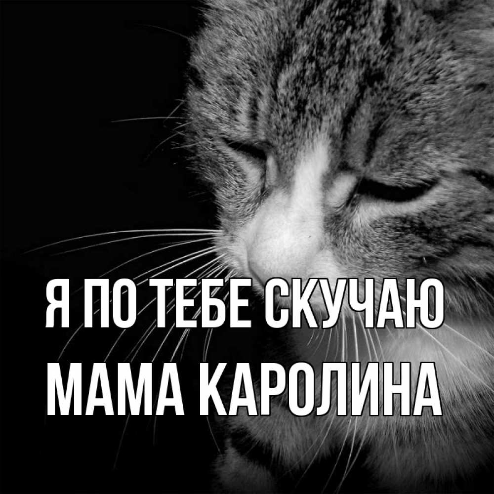 Открытка на каждый день с именем, Мама-Каролина Я по тебе скучаю мне скучно Прикольная открытка с пожеланием онлайн скачать бесплатно 