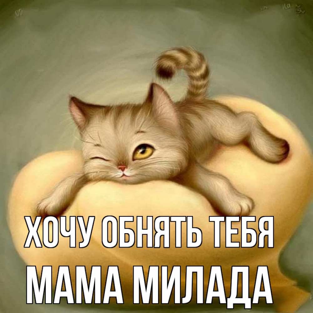 Открытка на каждый день с именем, Мама-Милада Хочу обнять тебя кошечка Прикольная открытка с пожеланием онлайн скачать бесплатно 