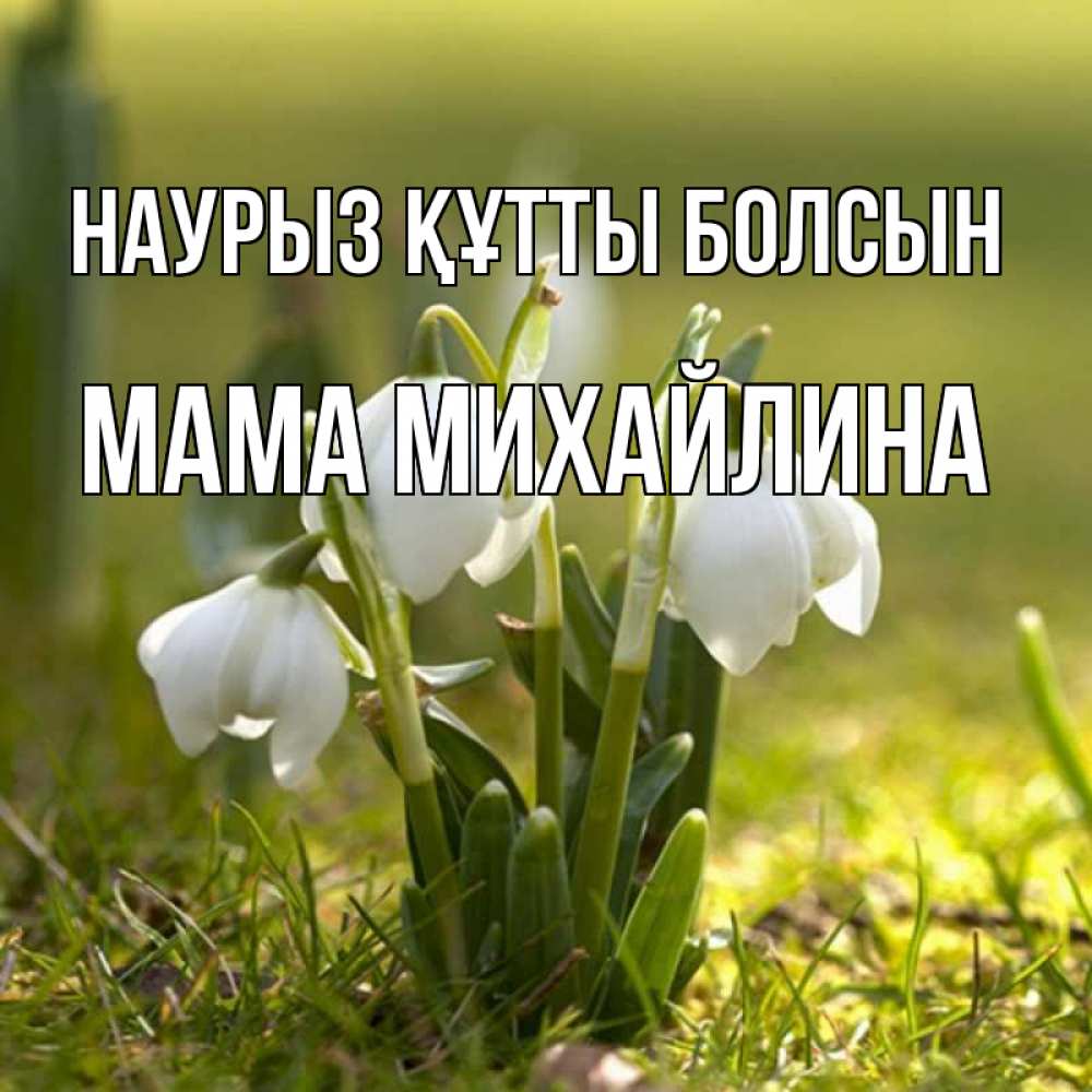 Открытка на каждый день с именем, Мама-Михайлина Наурыз құтты болсын ранние цветы 2 Прикольная открытка с пожеланием онлайн скачать бесплатно 