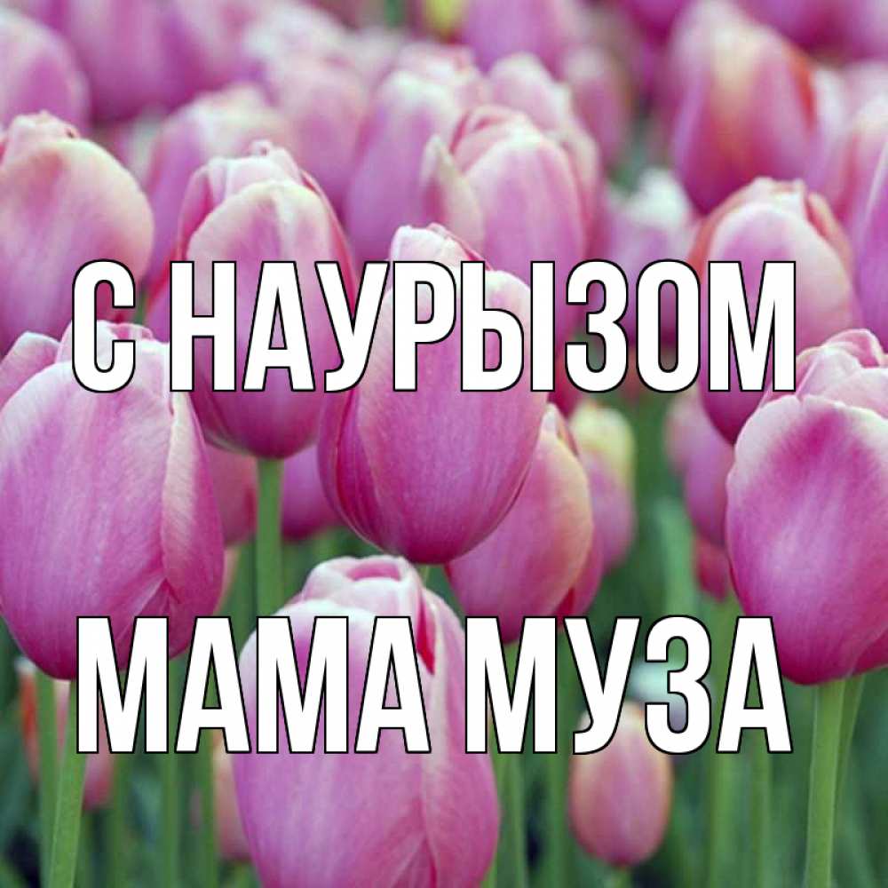 Открытка на каждый день с именем, Мама-Муза С наурызом праздник весны наурыз 69 Прикольная открытка с пожеланием онлайн скачать бесплатно 