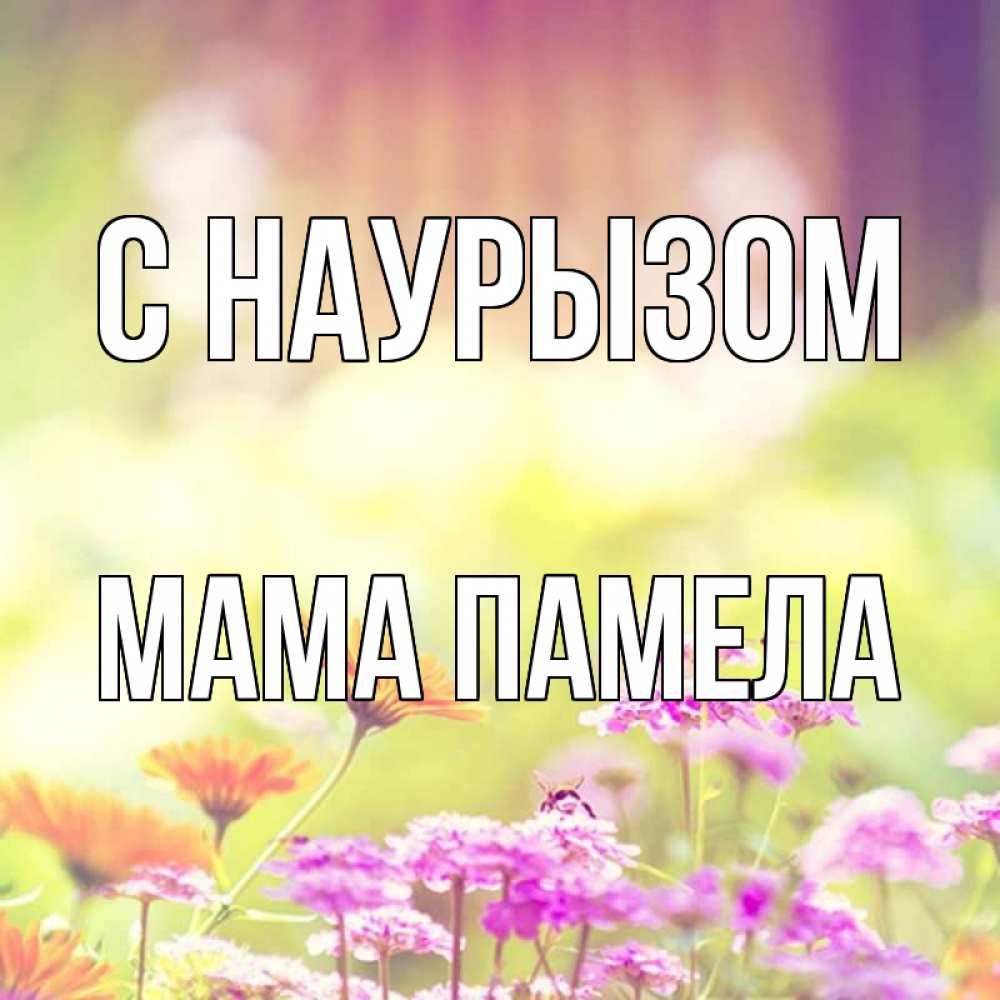 Открытка на каждый день с именем, Мама-Памела С наурызом цветы весна Прикольная открытка с пожеланием онлайн скачать бесплатно 