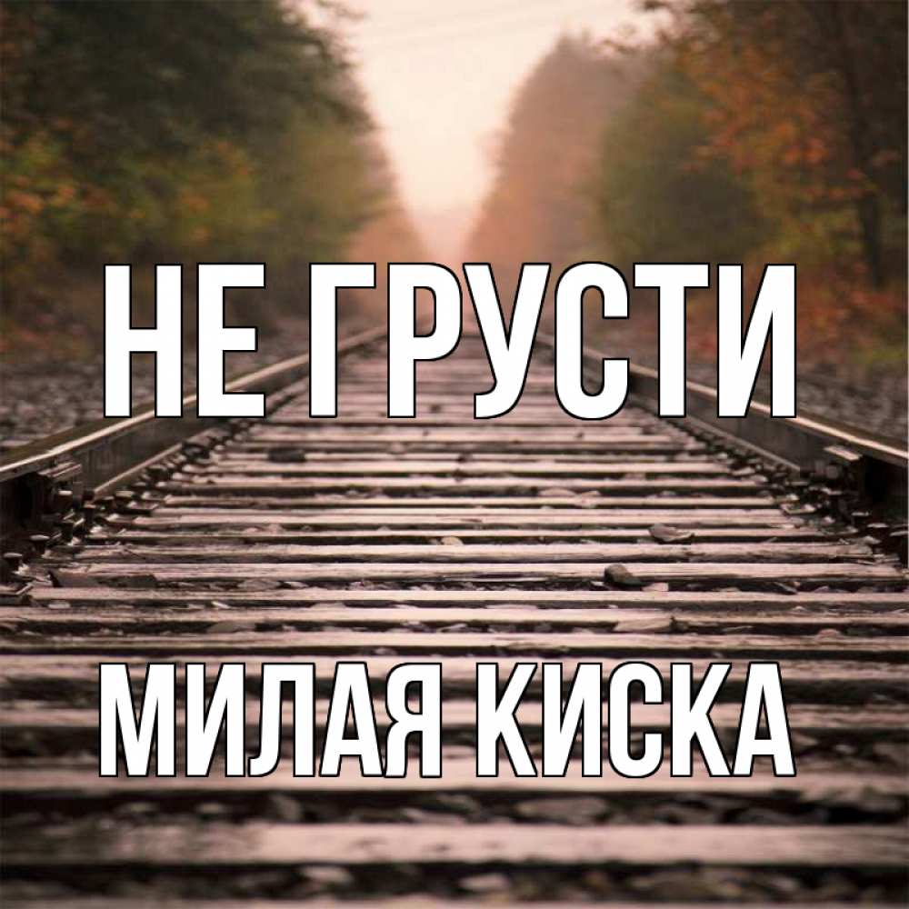 Открытка на каждый день с именем, Милая-киска Не грусти лес и железная дорога Прикольная открытка с пожеланием онлайн скачать бесплатно 