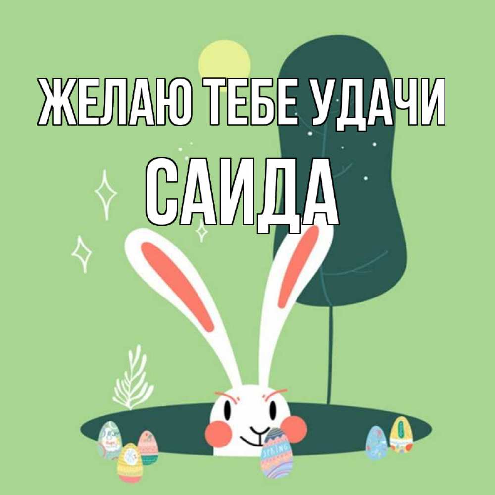 Открытка на каждый день с именем, Саида Желаю тебе удачи заяц Прикольная открытка с пожеланием онлайн скачать бесплатно 
