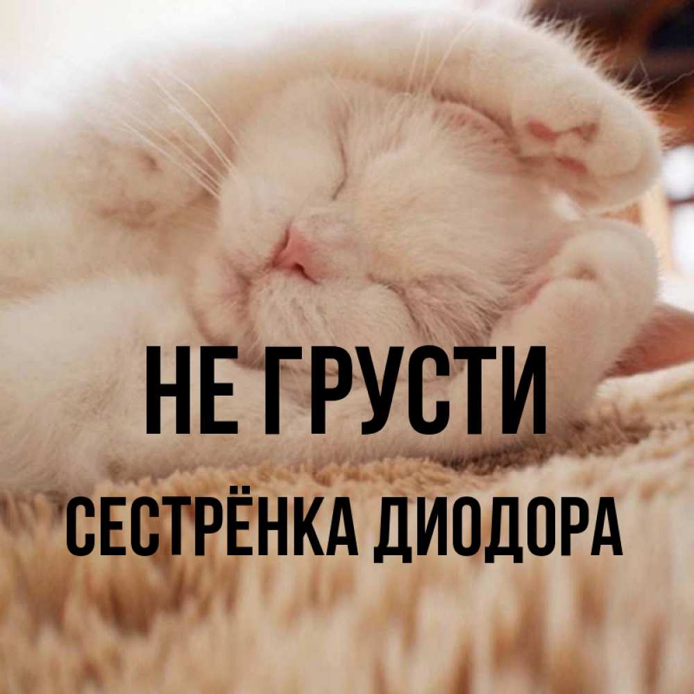 Открытка на каждый день с именем, Сестрёнка-Диодора Не грусти Котенок спит Прикольная открытка с пожеланием онлайн скачать бесплатно 