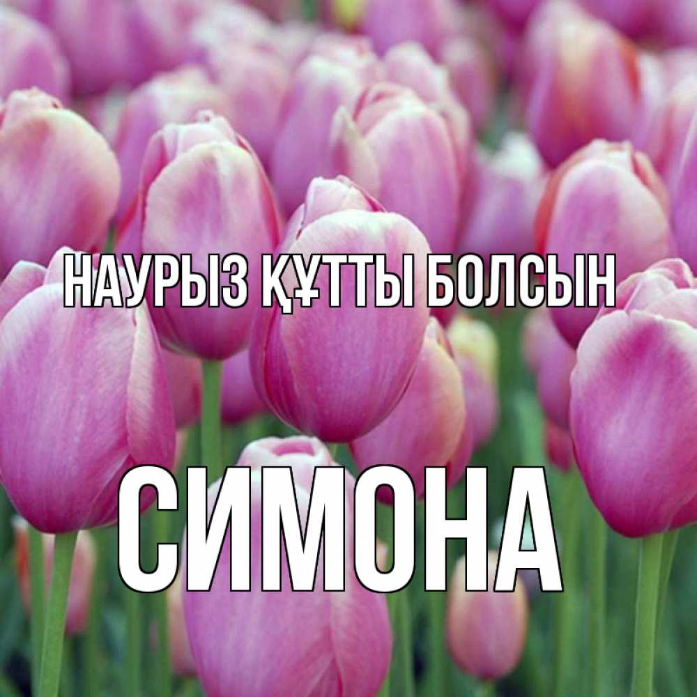 Открытка на каждый день с именем, Симона Наурыз құтты болсын на наурыз  день 3 Прикольная открытка с пожеланием онлайн скачать бесплатно 