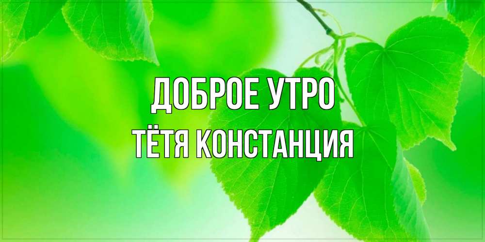 Открытка на каждый день с именем, Тётя-Констанция Доброе утро доброе утро с березовыми листьями Прикольная открытка с пожеланием онлайн скачать бесплатно 