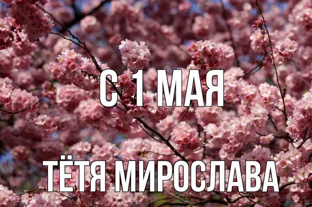 Открытка на каждый день с именем, Тётя-Мирослава С 1 мая С 1 мая Прикольная открытка с пожеланием онлайн скачать бесплатно 
