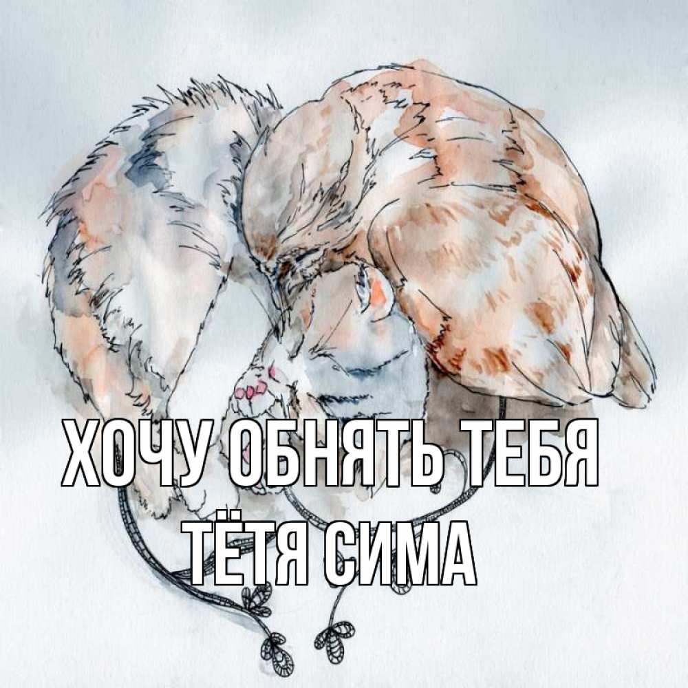 Открытка на каждый день с именем, Тётя-Сима Хочу обнять тебя можно быть вместе даже когда очень разные Прикольная открытка с пожеланием онлайн скачать бесплатно 