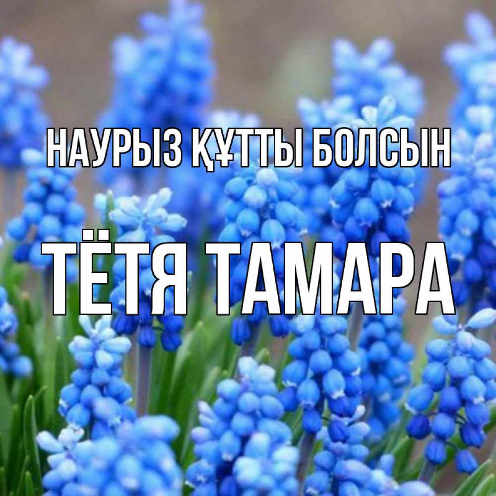 Открытка на каждый день с именем, Тётя-Тамара Наурыз құтты болсын Поздравительная открытка для женщин с цветами на праздничную дату Прикольная открытка с пожеланием онлайн скачать бесплатно 