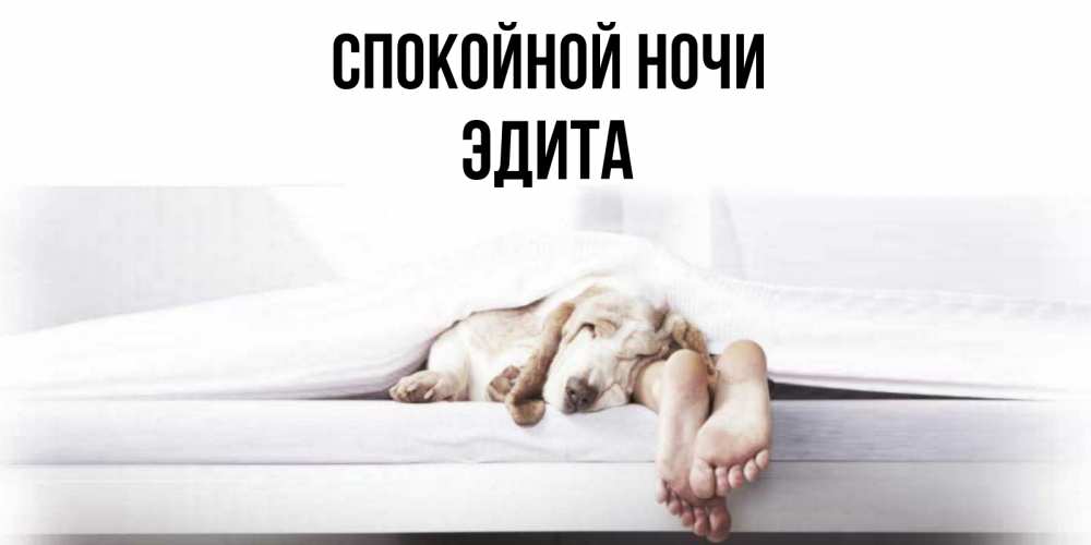 Открытка на каждый день с именем, Эдита Спокойной ночи кровать с собакой пожелание сладких снов и спокойной ночи Прикольная открытка с пожеланием онлайн скачать бесплатно 