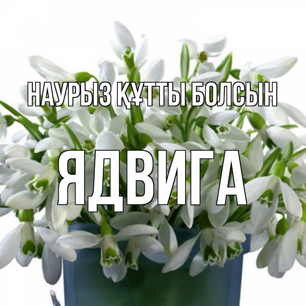 Открытка на каждый день с именем, Ядвига Наурыз құтты болсын цветы к наурызу Прикольная открытка с пожеланием онлайн скачать бесплатно 
