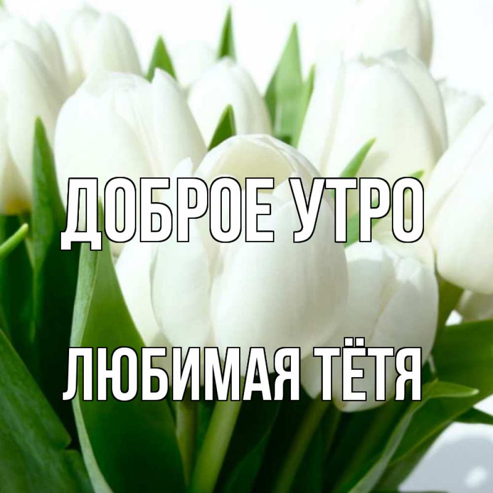 Открытка на каждый день с именем, любимая-Тётя Доброе утро открытки на каждый день по именам Прикольная открытка с пожеланием онлайн скачать бесплатно 