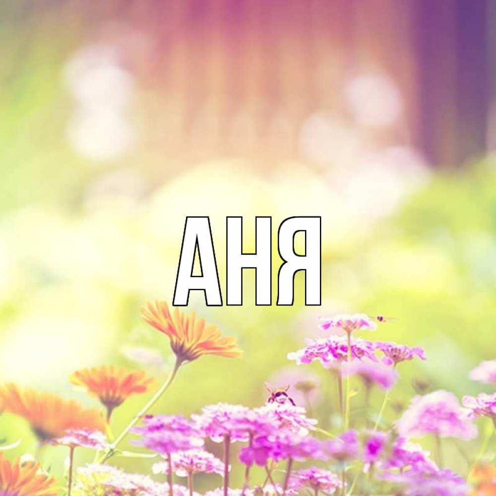 Именные картинки аня