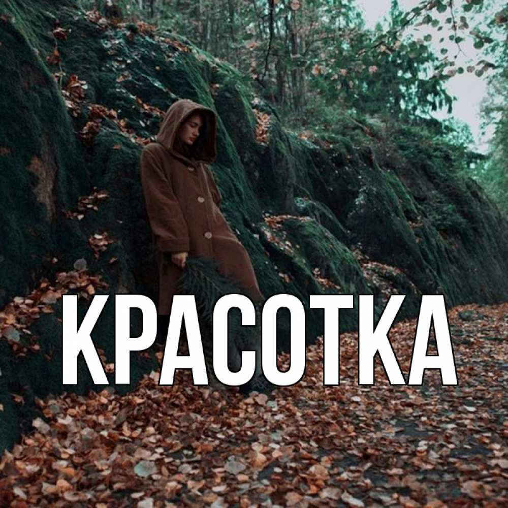 Открытка на каждый день с именем, красотка Главная осенний лес Прикольная открытка с пожеланием онлайн скачать бесплатно 