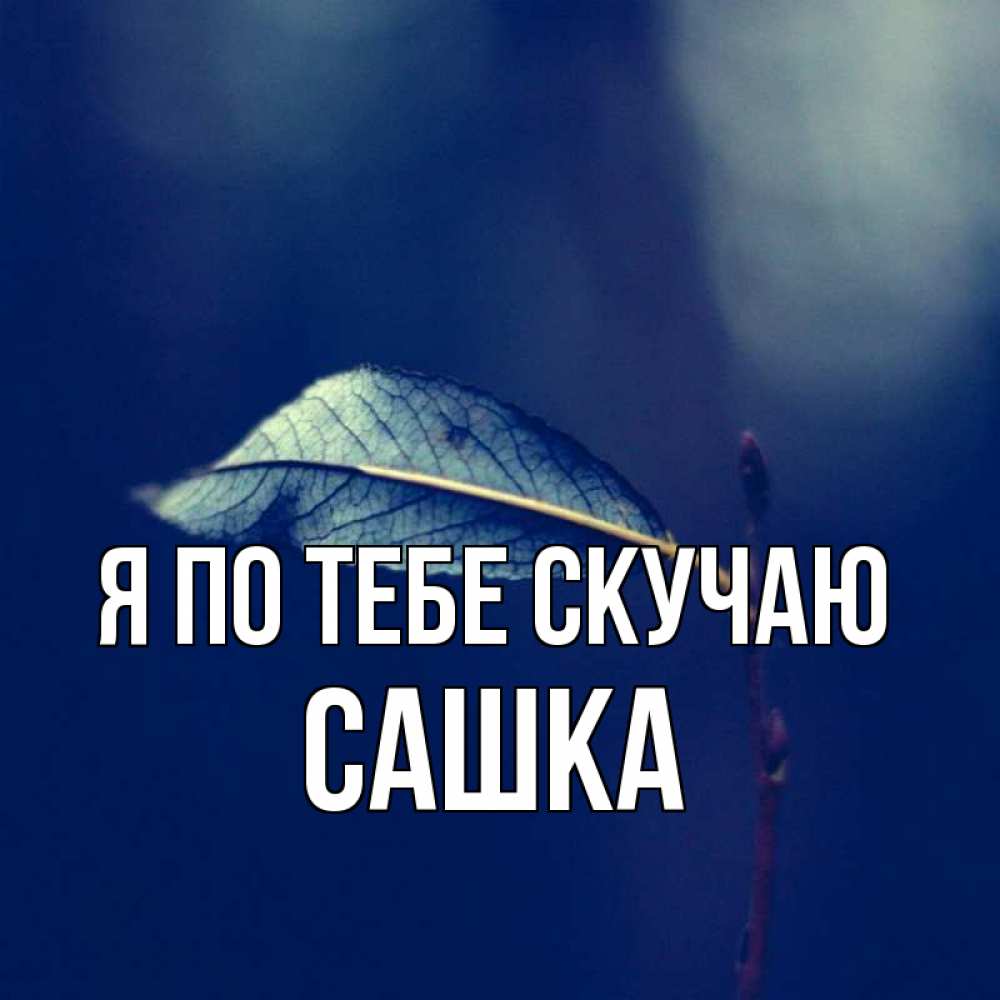 Картинка Я по тебе скучаю, Сашка