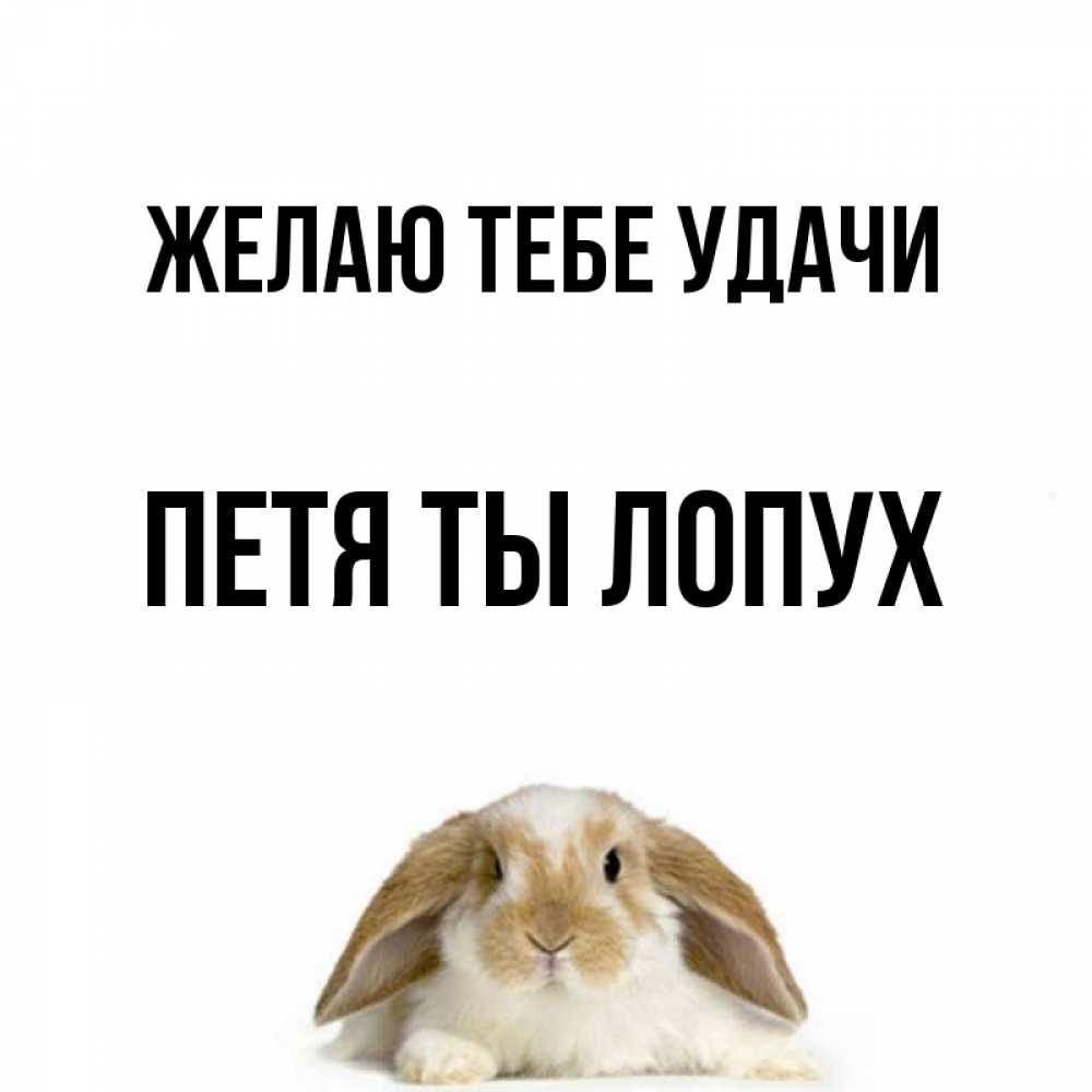 Пет удачи